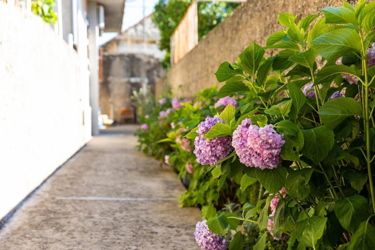 Wanderlust Apartments Dubrovnik Eksteriør billede